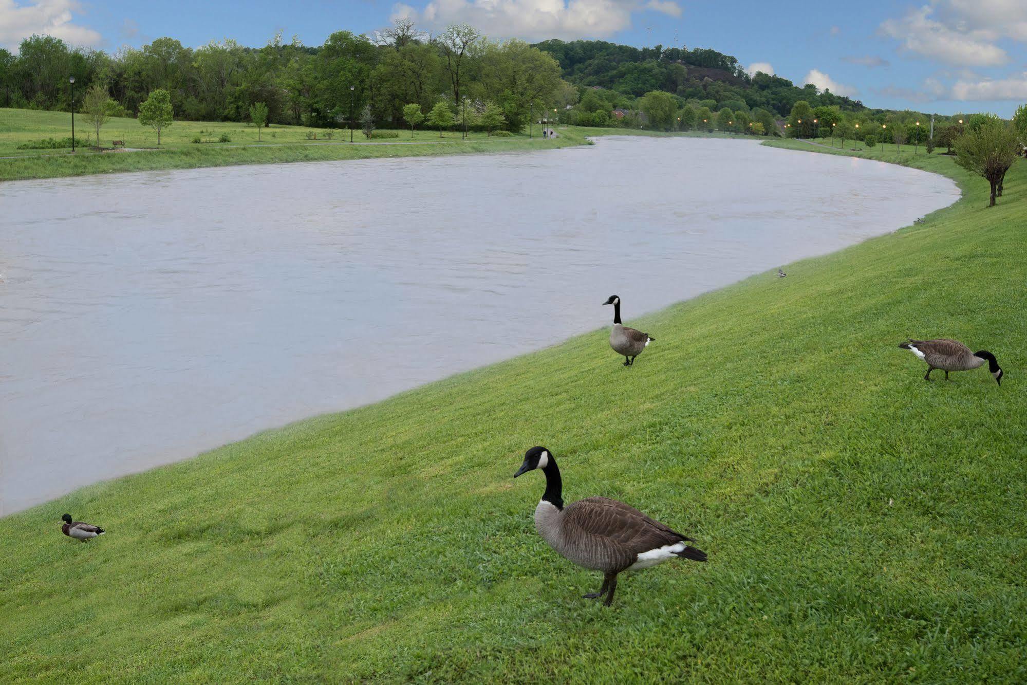 Econo Lodge Sevierville-Pigeon Forge On The River Bagian luar foto